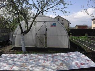 Теплиця з полікарбонатом "Файна" 4х12 м. з оцинкованої труби 30х20 мм. Повний комплект, полікарбонат Високоякісний 6 мм. fayna-4-12-p4 фото