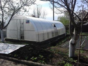 Теплиця з полікарбонатом "Косиця" 4х12 м. з оцинкованої труби 20х20 мм. Повний комплект, полікарбонат Високоякісний 6 мм. kosica-4-6-s4 фото