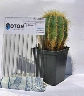 Полікарбонат стільниковий 10 мм прозорий 2.1х4 SOTON CLASSIC soton-2.1x4-10 фото