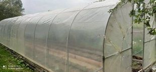 Теплиця "Косичка" 2х8 - Максимум Можливостей - планкове кріплення з плівкою 120 мкм. kosichka-2-8-120 фото