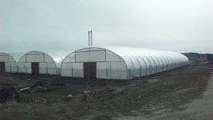 Теплиця "Округла 10х80" розміром 10х80х4.3 м okrugla-1-10x80 фото