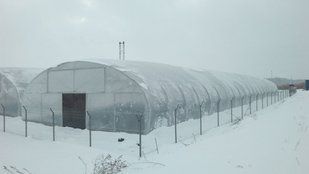 Теплиця з надувом плівки "Округла 10х20" розміром 10х20х4.3 okrugla-2-10x20 фото