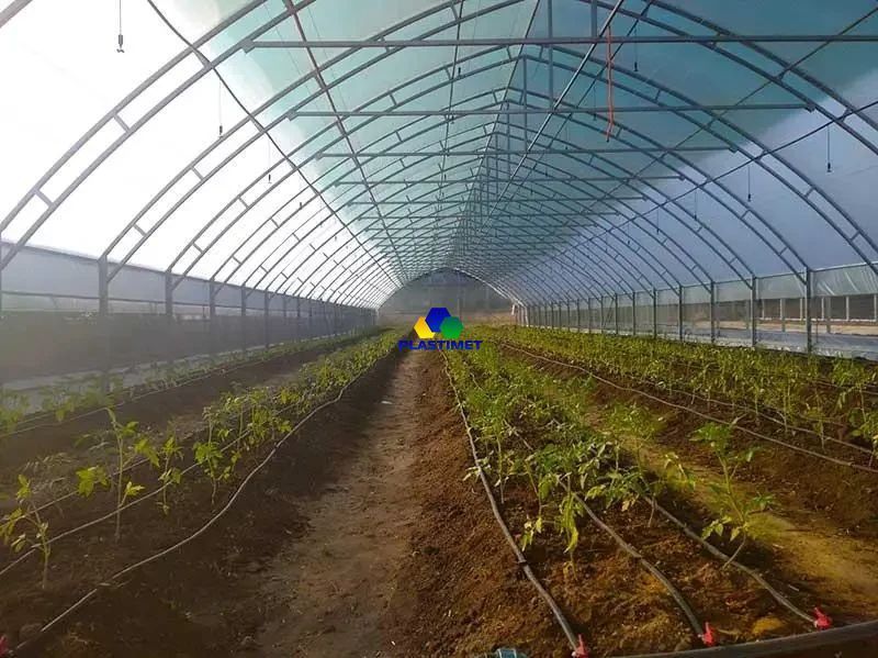 Теплиця Західна-10х10 10х10х4.5м + плівка 150 мкм+ зигзаг профіль zah-10x10-150 фото